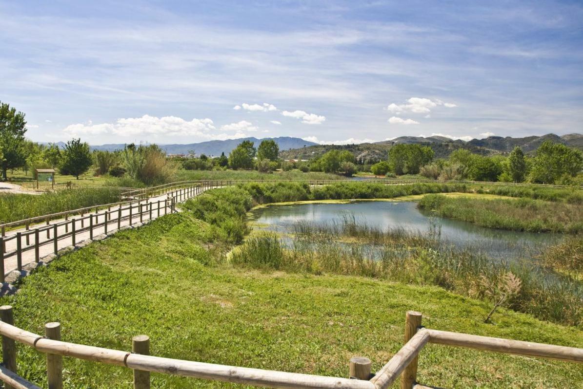 Apartamento Con Piscina Y Parking Lägenhet Gandía Exteriör bild
