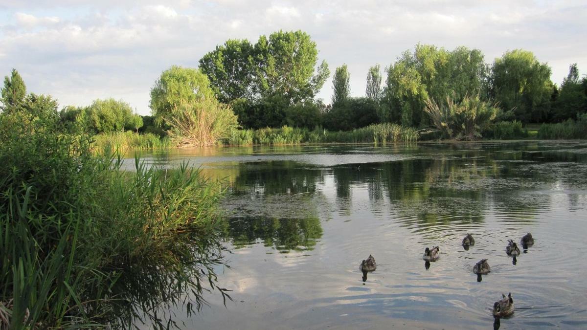 Apartamento Con Piscina Y Parking Lägenhet Gandía Exteriör bild